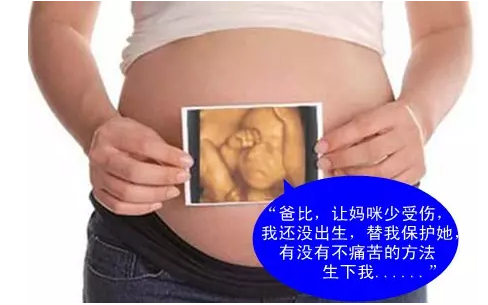 为什么这张照片会在网络上疯传？！