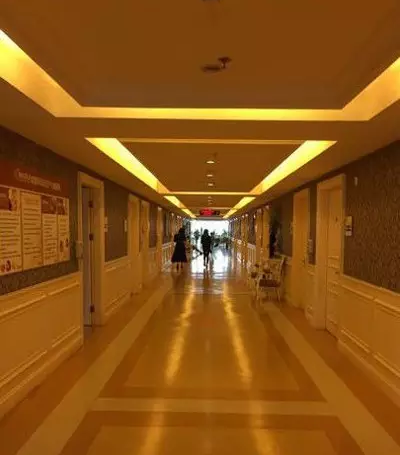 沙特“小王子”产房如“皇宫”般奢华