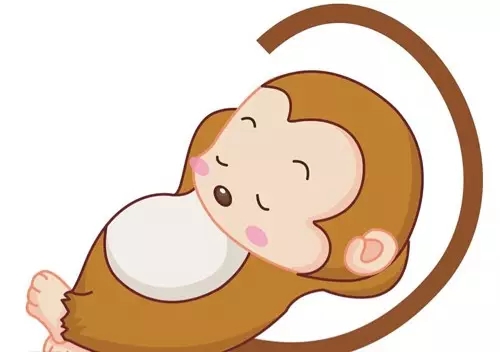 忙坏了！玛丽亚十天喜迎近百名“猴宝宝”