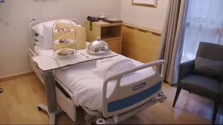 生个孩子要多少钱？ 24岁中国富婆赴英生子4天花了40万