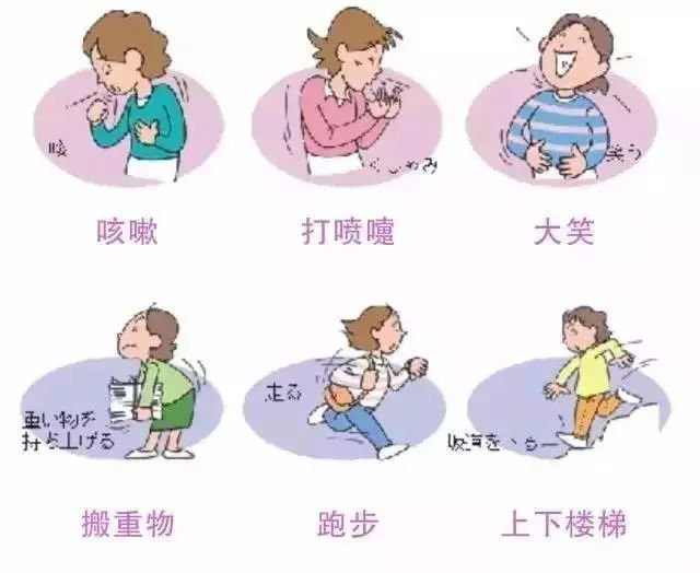 “盆底肌”关系到你的后半生,她有多重要,你绝对