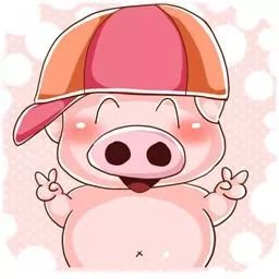 备孕猪宝宝做好这项工作才是关键~