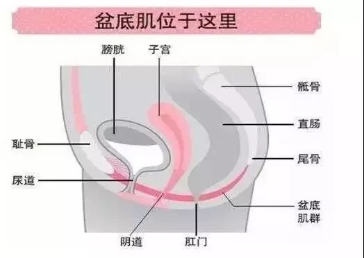 生完孩子以后这件事很重要，否则……