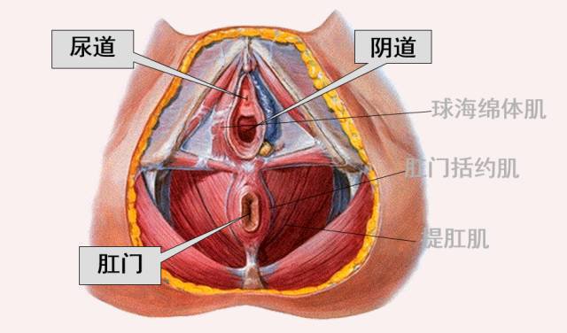生了孩子后， 除了可怕的“游泳圈”， 更可怕的