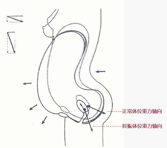 生了孩子后， 除了可怕的“游泳圈”， 更可怕的