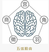 看稀奇，迪拜皇室御用高科技育婴神器—胎婴舱