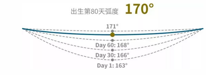 看稀奇，迪拜皇室御用高科技育婴神器—胎婴舱